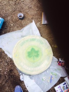 The finished product is a soft combination of pinks, greens and yellows.