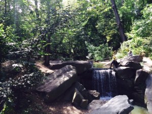 The Ravine in Central Parks North Woods